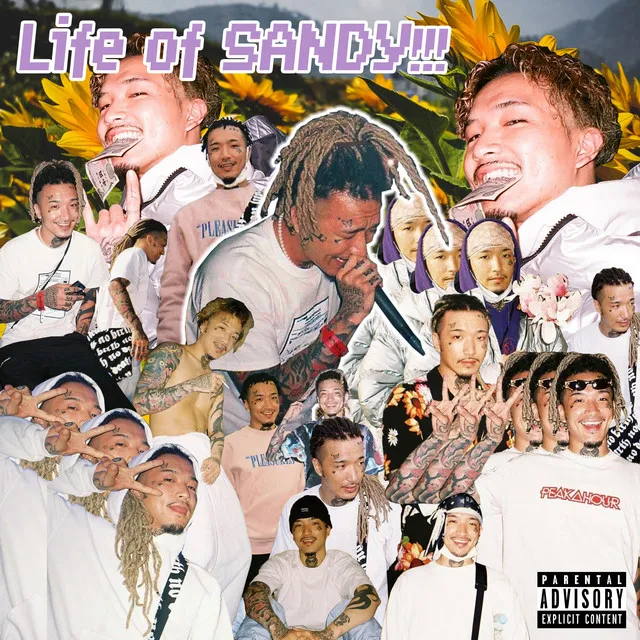 Life of SANDY!!!