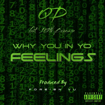 Why You In Yo Feelings by QD