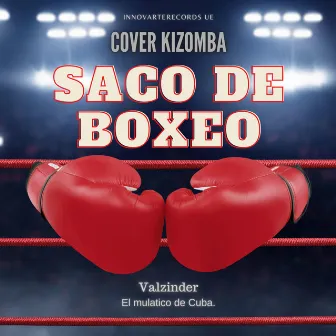 Saco de Boxeo. by Valzinder