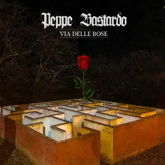 Via Delle Rose by Peppe Bastardo