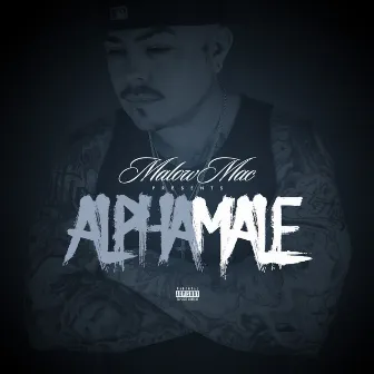 Alpha Male by Malow Mac