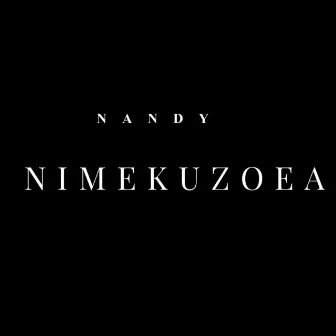 NIMEKUZOEA by Nandy