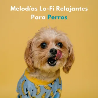 Melodías Lofi Relajantes Para Perros by Perro dormido