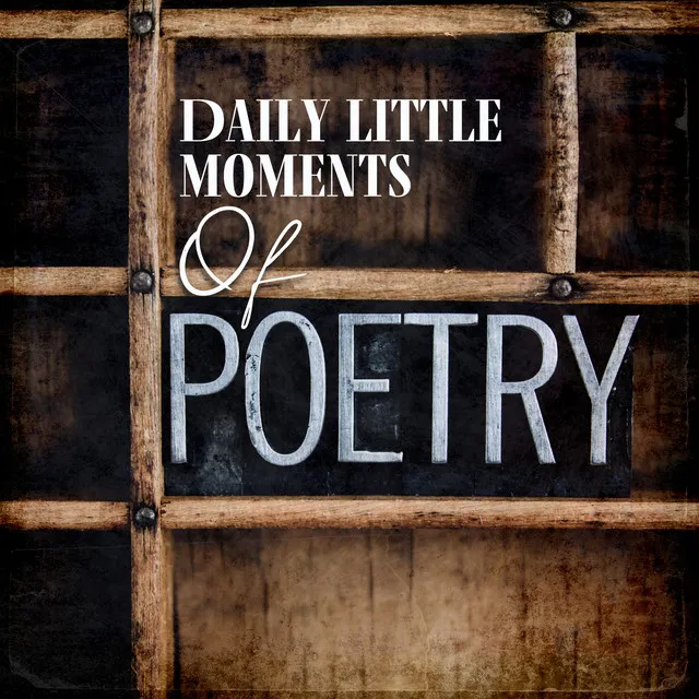 Daily Little Moments Of Poetry