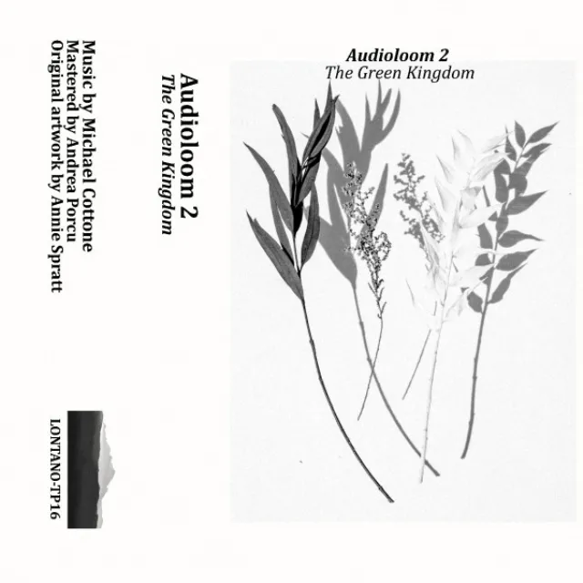 Audioloom 2