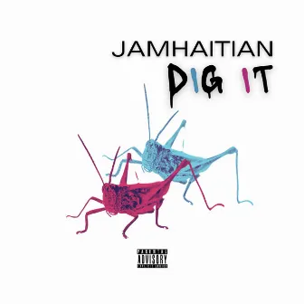 Dig It by Jamhaitian