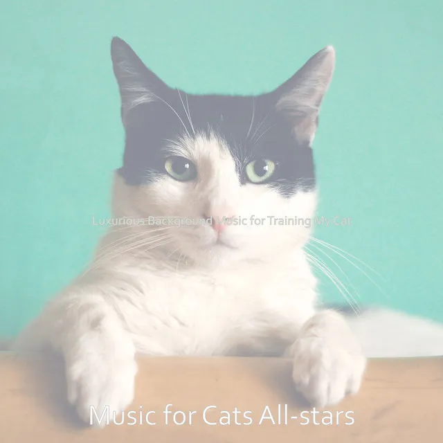 Mind-blowing Music for Home with Cats