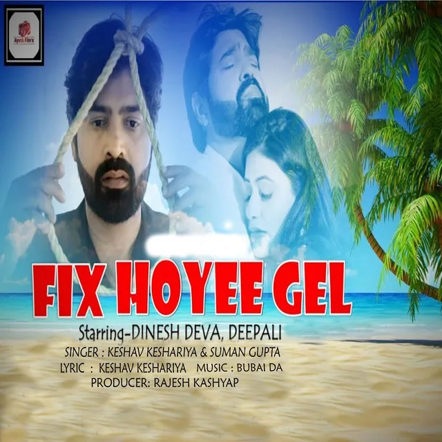 Fix Hoyee Gel