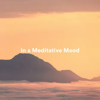 In a Meditative Mood by Meditation Ambience