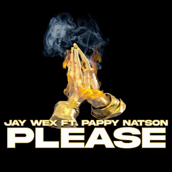 Please by Pappy Natson