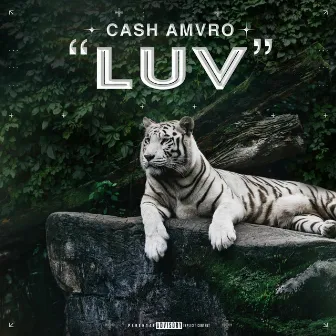 LUV by Cash Amvro