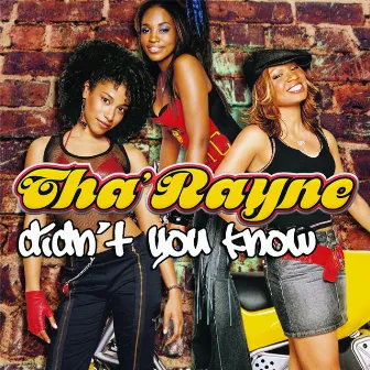 Didn't You Know by Tha' Rayne