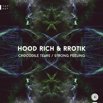 Crocodile Tears / Strong Feeling by Hood Rich