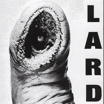 Power Of Lard by Lard