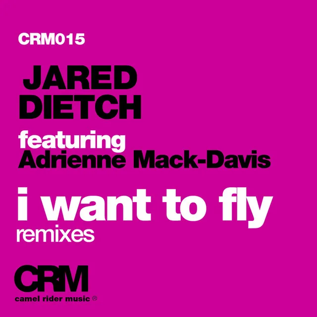 I Want to Fly (feat. Adrienne Mack-Davis) (Aron Scott Remix)