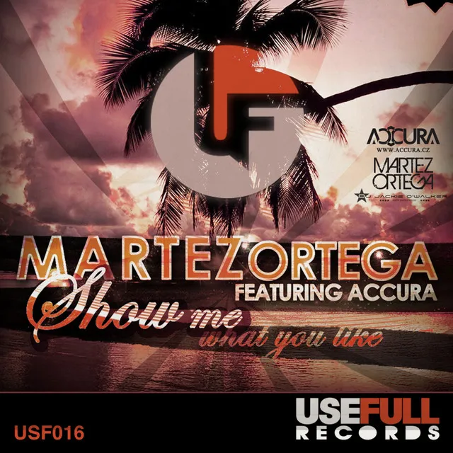 Show Me What You Like - Marco Molina Remix