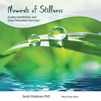 Moments of Stillness by Sarah Edelman