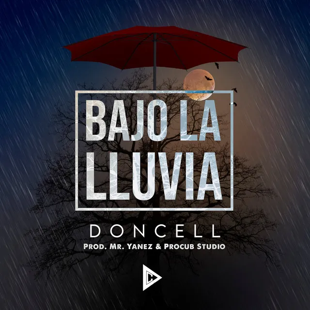 Bajo la Lluvia