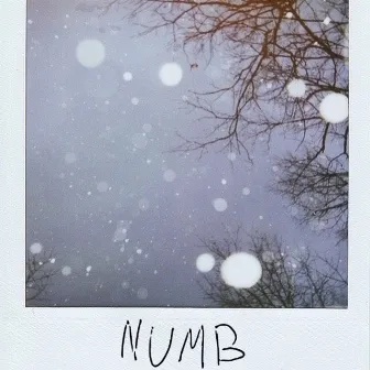 Numb by Brennan Savage