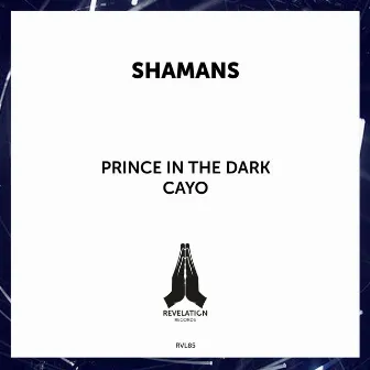 Prince in the Dark by Shamans