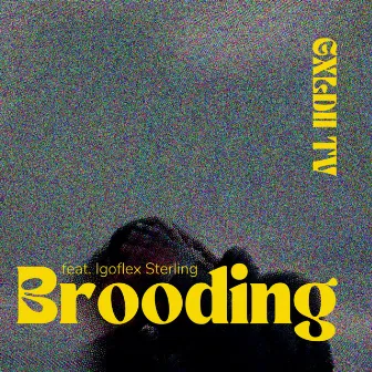 Brooding (feat. IGOFLEX Sterling) by GXLDII TV