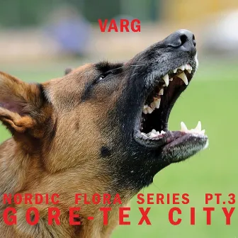 Nordic Flora Series, Pt. 3: Gore-Tex City by Varg²™