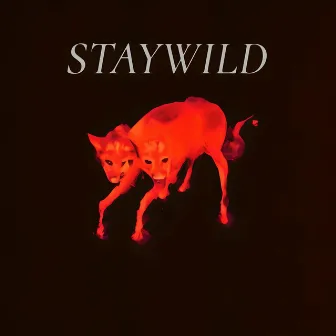 Stay Wild by 7AM