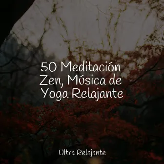 50 Meditación Zen, Música de Yoga Relajante by Musica Relajante & Yoga