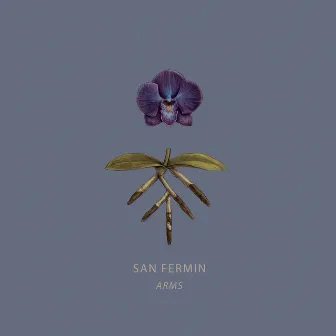 Arms by San Fermin