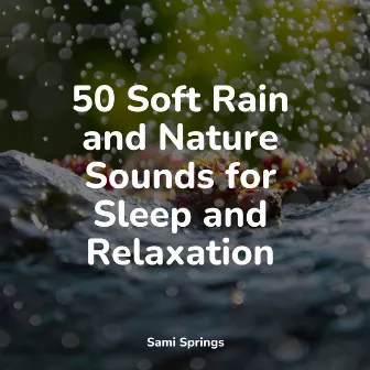 50 Soft Rain and Nature Sounds for Sleep and Relaxation by Rain Man Sounds