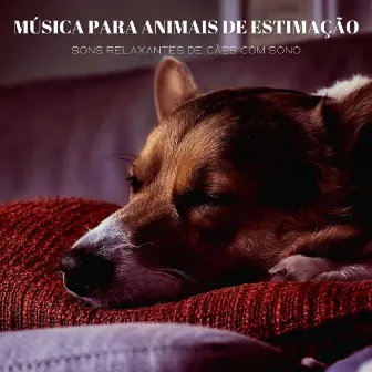 Música Para Animais De Estimação: Sons Relaxantes De Cães Com Sono by Experiência Musical Adormecida