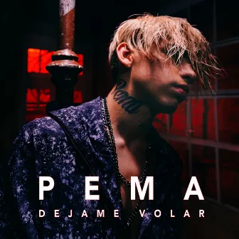 Dejame Volar by Pema