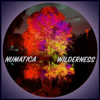 Wilderness by Numatica