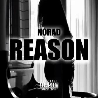 Reason by Norad