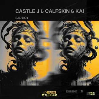 Sad Boy by Castle J