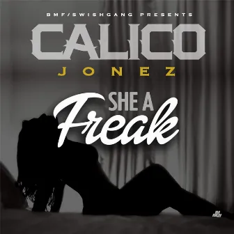 She a Freak by Calico Jonez