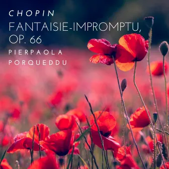 Fantaisie-impromptu, Op. 66 by Pierpaola Porqueddu