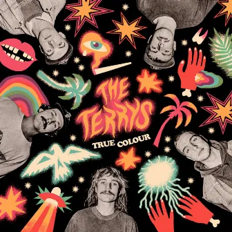 True Colour by The Terrys