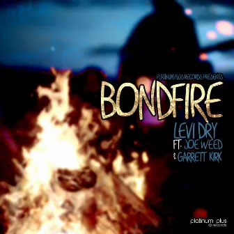 Bonfire by Levi Dry