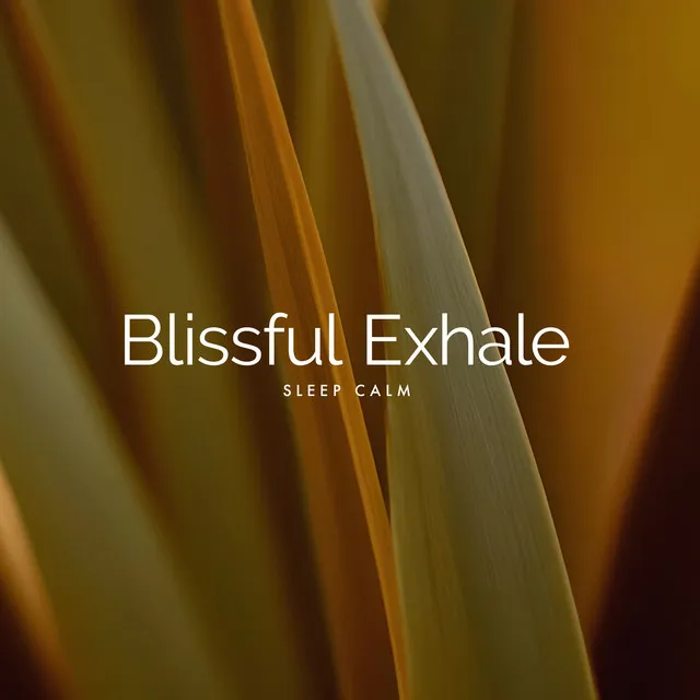 Blissful Exhale