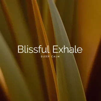 Blissful Exhale by Unknown Artist