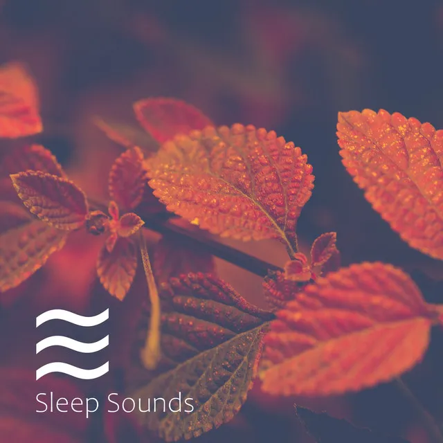 Serene Sounds of Noises for Babies to Calm Sleep