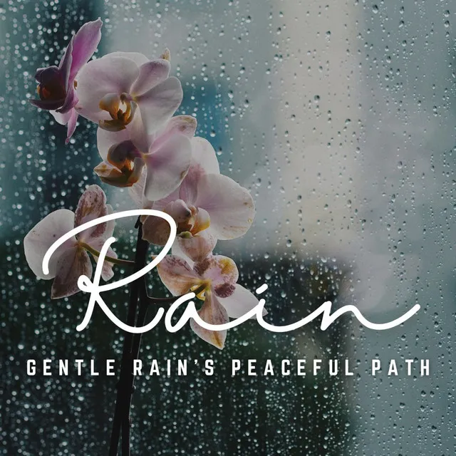 Meditative Rain Symphony: Finding Peace in Rain