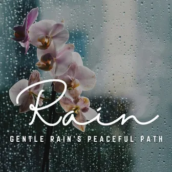 Meditative Rain Symphony: Finding Peace in Rain by Nature Vibes