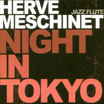 Night in Tokyo by Herve Meschinet