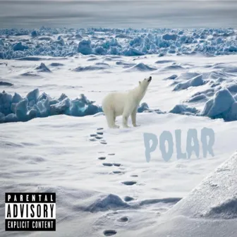 POLAR by Unknown Artist