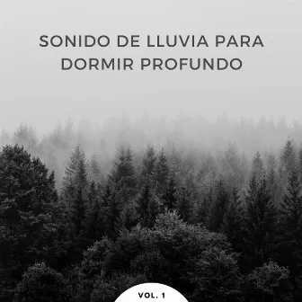 Sonido De Lluvia Para Dormir Profundo Vol. 1 by Sonido mágico de lluvia para dormir