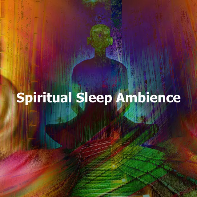 Spiritual Sleep Traveler