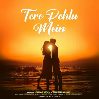 Tere Pehlu Mein by Shubha Chaki