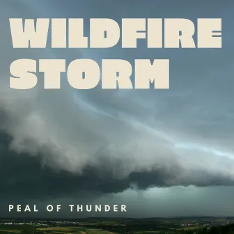 Wildfire Storm by Peal Of Thunder